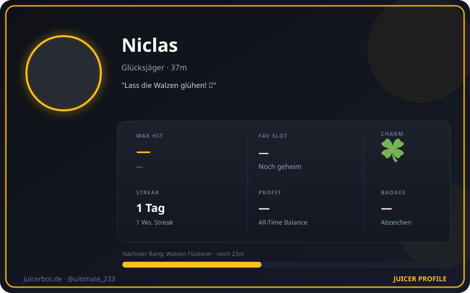 Profil-Karte von Niclas